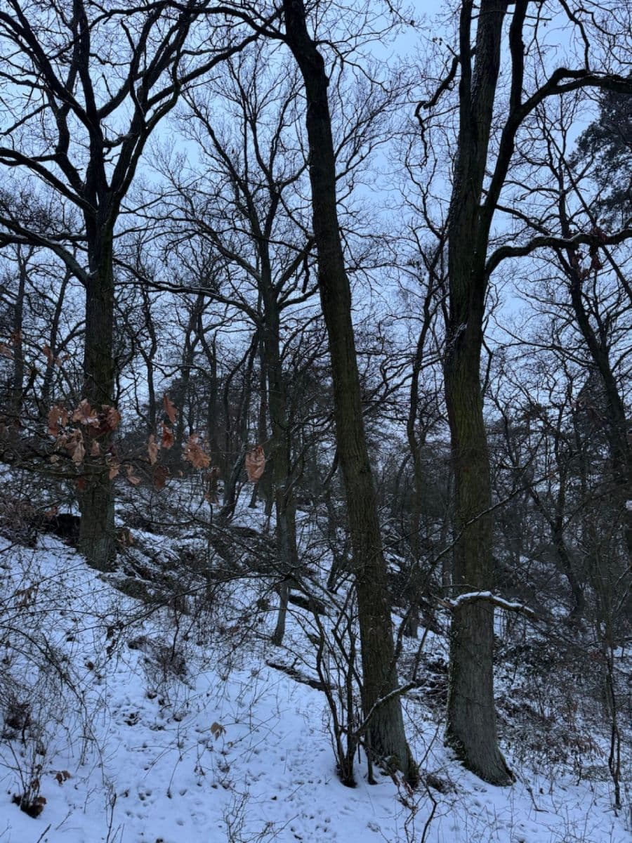 Prodej pozemku 20.392 m², Kralupy nad Vltavou, Středočeský kraj Prodej pozemku 20.392 m², Kralupy nad Vltavou, Středočeský kraj