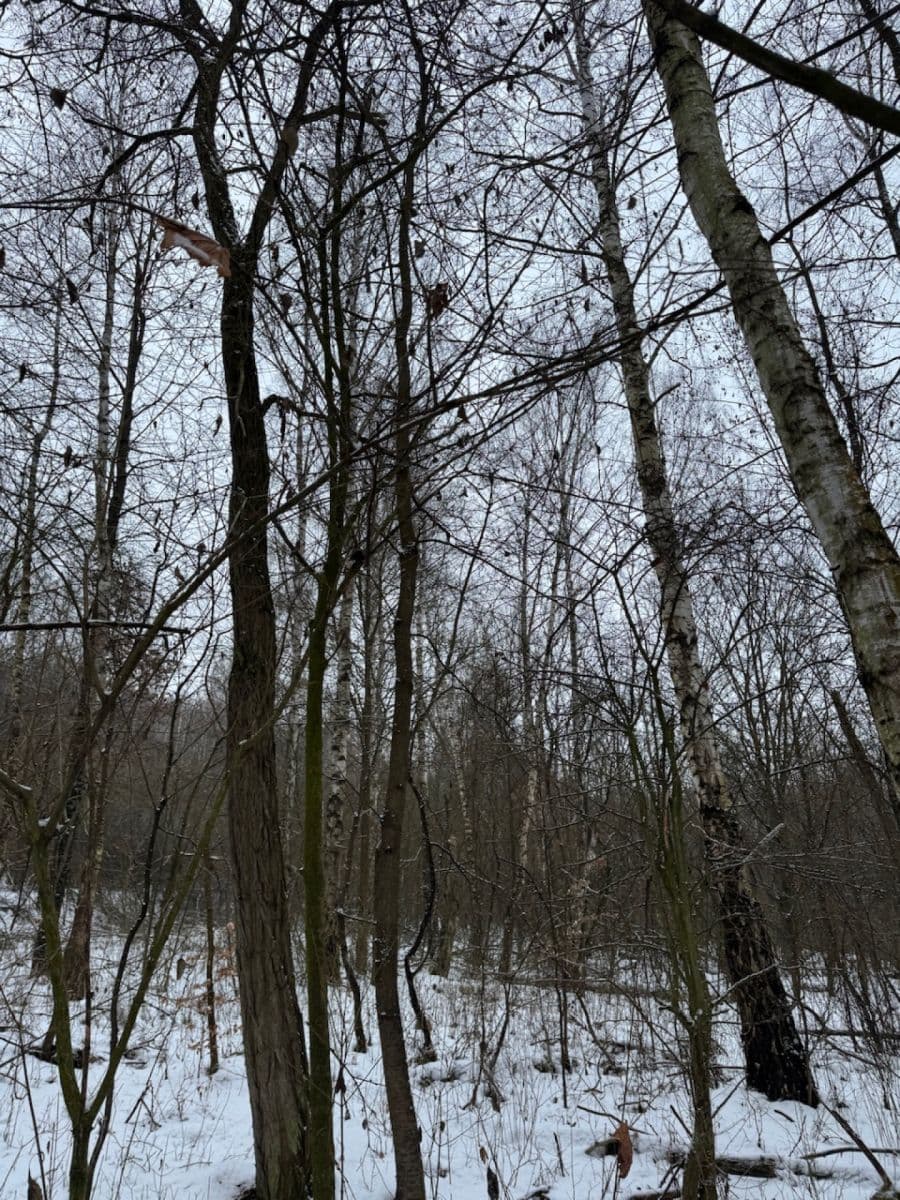 Prodej pozemku 20.392 m², Kralupy nad Vltavou, Středočeský kraj Prodej pozemku 20.392 m², Kralupy nad Vltavou, Středočeský kraj