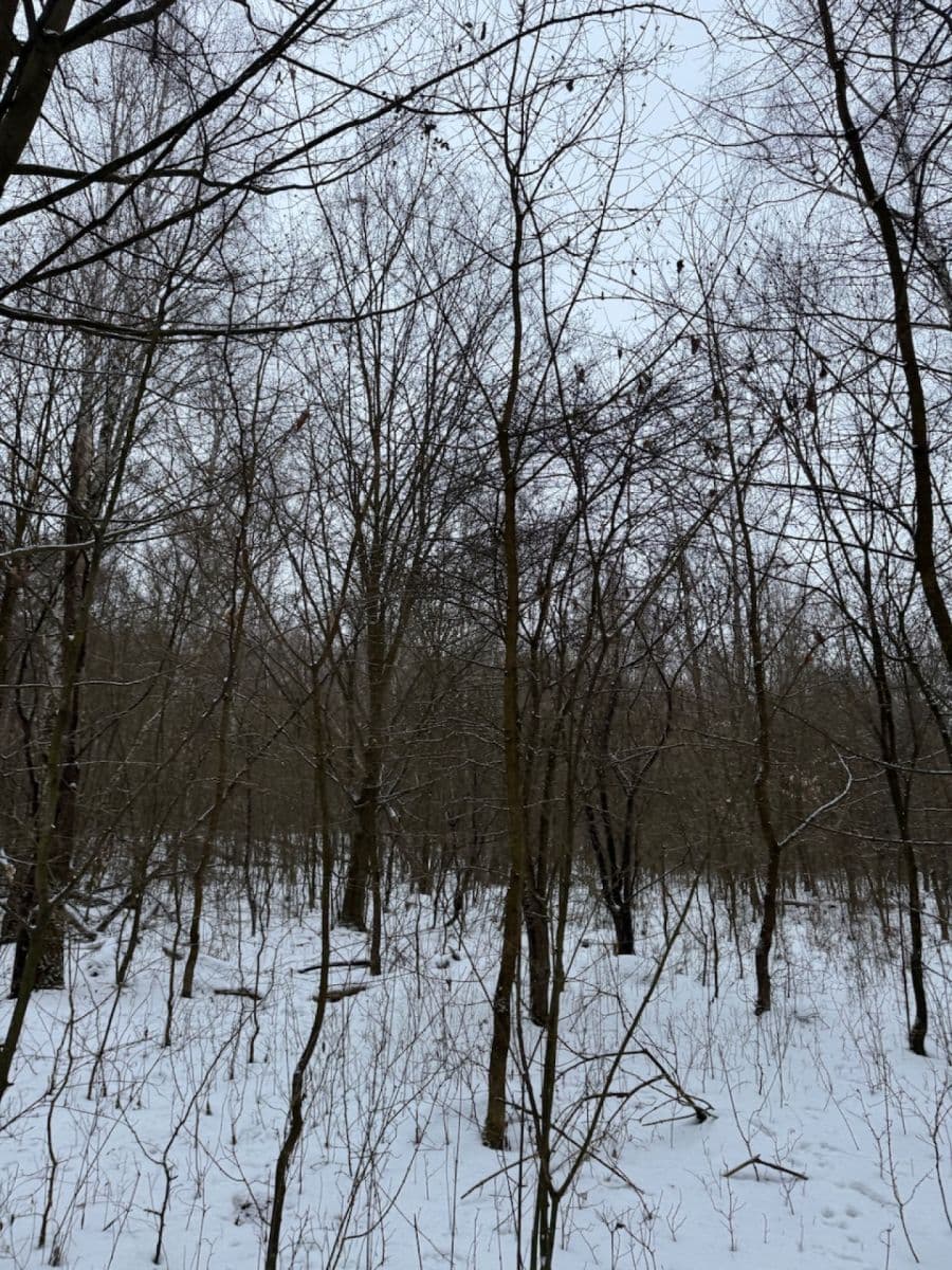 Prodej pozemku 20.392 m², Kralupy nad Vltavou, Středočeský kraj Prodej pozemku 20.392 m², Kralupy nad Vltavou, Středočeský kraj