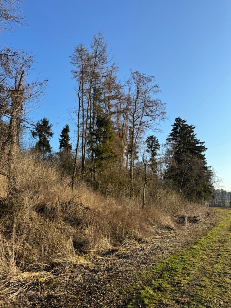 Prodej pozemku 8.466 m², Nový Malín, Olomoucký kraj Prodej pozemku 8.466 m², Nový Malín, Olomoucký kraj
