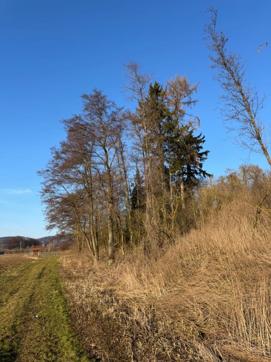 Prodej pozemku 8.466 m², Nový Malín, Olomoucký kraj Prodej pozemku 8.466 m², Nový Malín, Olomoucký kraj