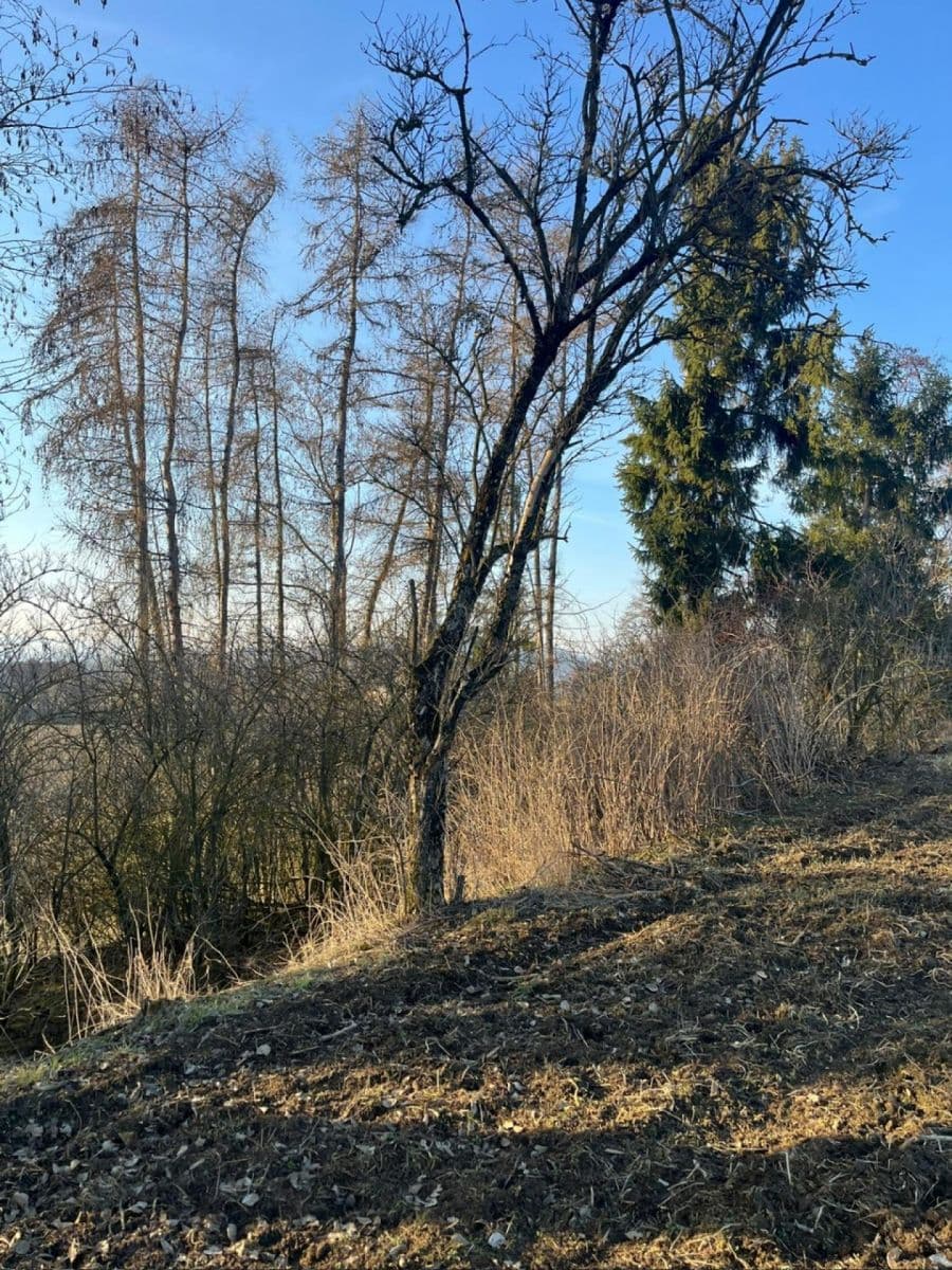 Prodej pozemku 8.466 m², Nový Malín, Olomoucký kraj Prodej pozemku 8.466 m², Nový Malín, Olomoucký kraj