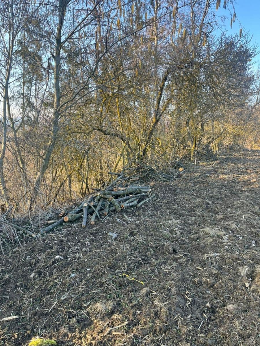 Prodej pozemku 8.466 m², Nový Malín, Olomoucký kraj Prodej pozemku 8.466 m², Nový Malín, Olomoucký kraj