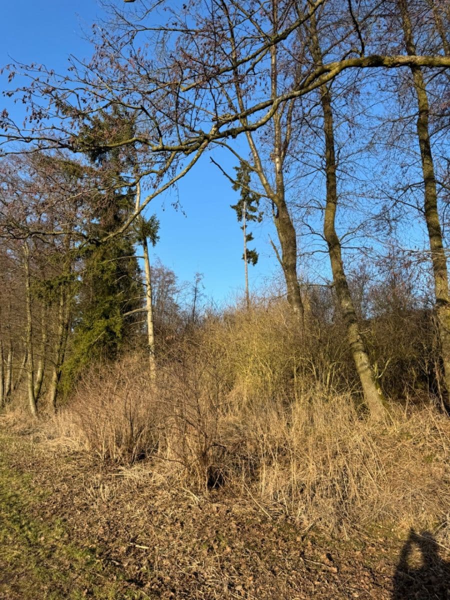 Prodej pozemku 8.466 m², Nový Malín, Olomoucký kraj Prodej pozemku 8.466 m², Nový Malín, Olomoucký kraj