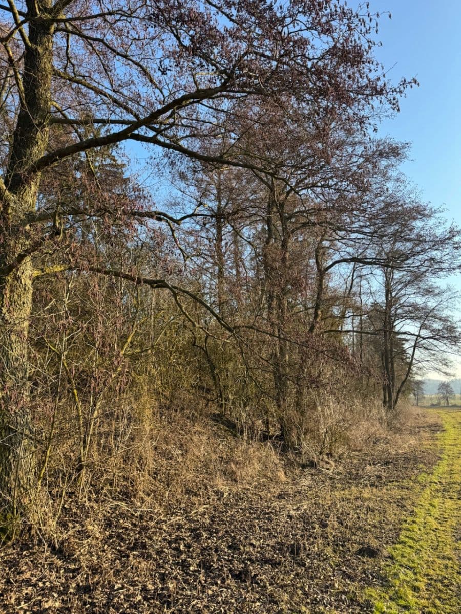 Prodej pozemku 8.466 m², Nový Malín, Olomoucký kraj Prodej pozemku 8.466 m², Nový Malín, Olomoucký kraj
