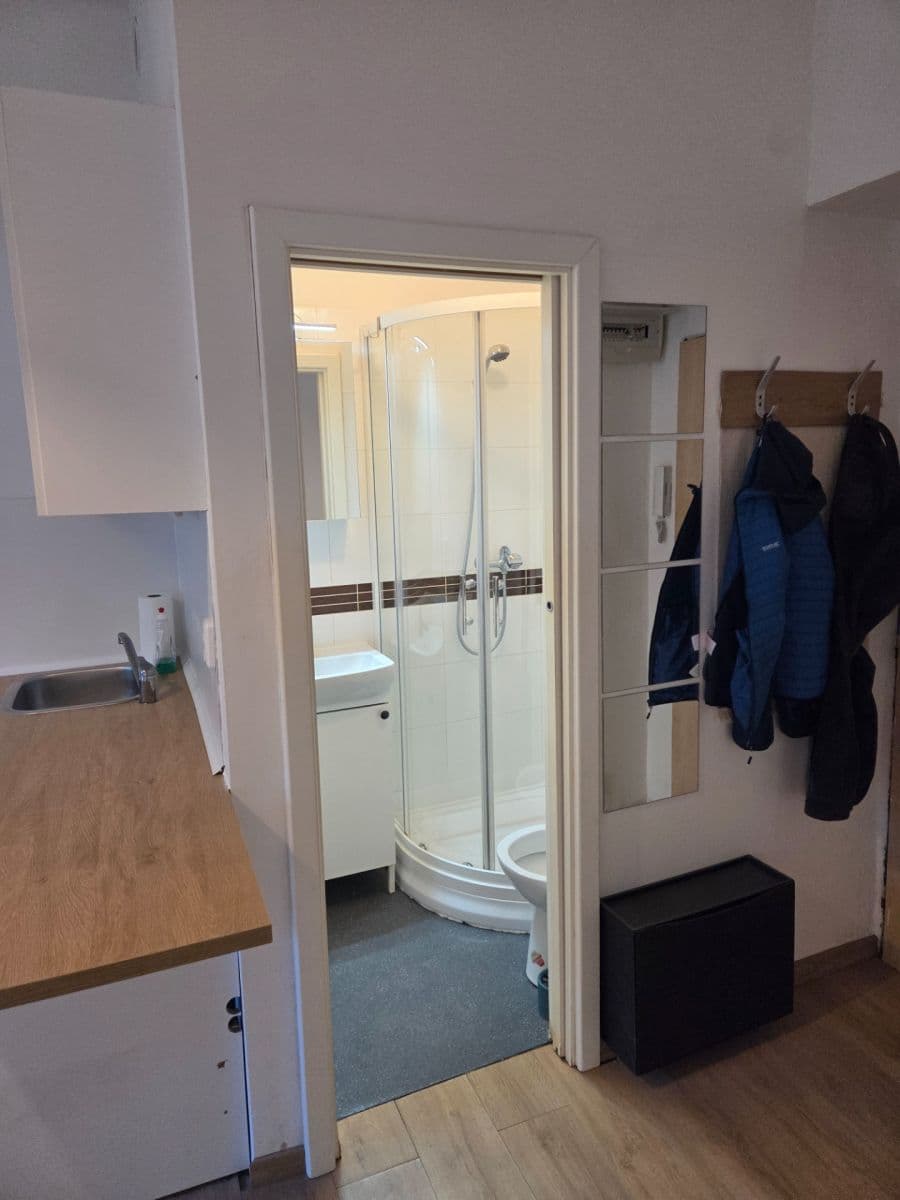 Pronájem bytu Garsoniéra 18 m², Zúžená, Praha, Praha Pronájem bytu Garsoniéra 18 m², Zúžená, Praha, Praha