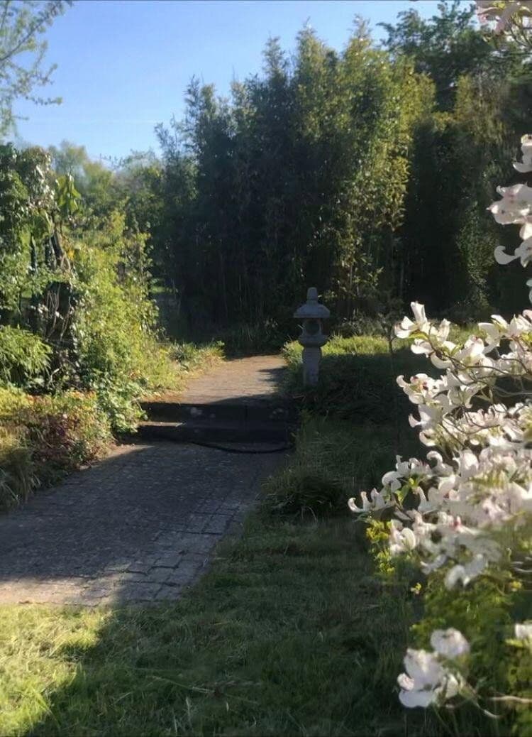 Prodej domu 160 m², pozemek 1.236 m², Cáchy, Severní Porýní-Vestfálsko Prodej domu 160 m², pozemek 1.236 m², Cáchy, Severní Porýní-Vestfálsko