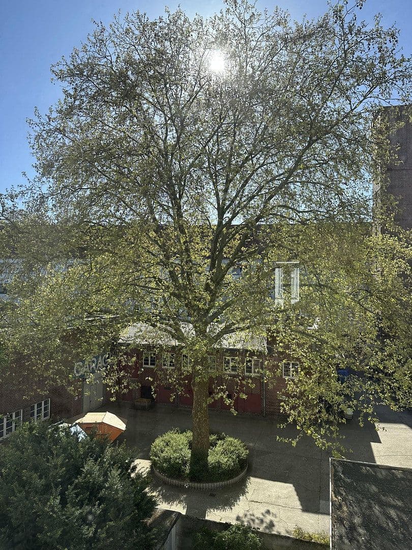 Pronájem bytu 4+1 87 m², Immengarten 13, Hannover, Dolní Sasko Pronájem bytu 4+1 87 m², Immengarten 13, Hannover, Dolní Sasko