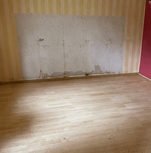 Prodej domu 84 m², pozemek 241 m², Märkische Heide, Braniborsko Prodej domu 84 m², pozemek 241 m², Märkische Heide, Braniborsko