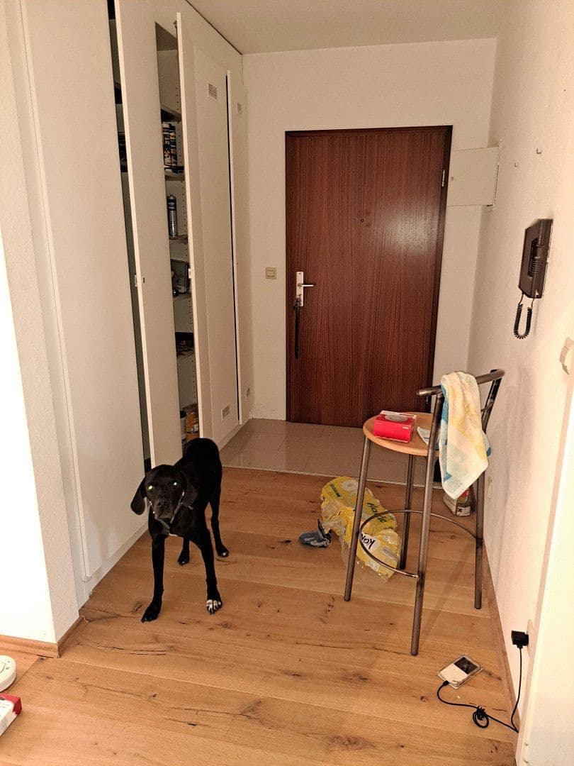 Pronájem bytu 2+1 60 m², Singen (Hohentwiel), Bádensko-Württembersko Pronájem bytu 2+1 60 m², Singen (Hohentwiel), Bádensko-Württembersko