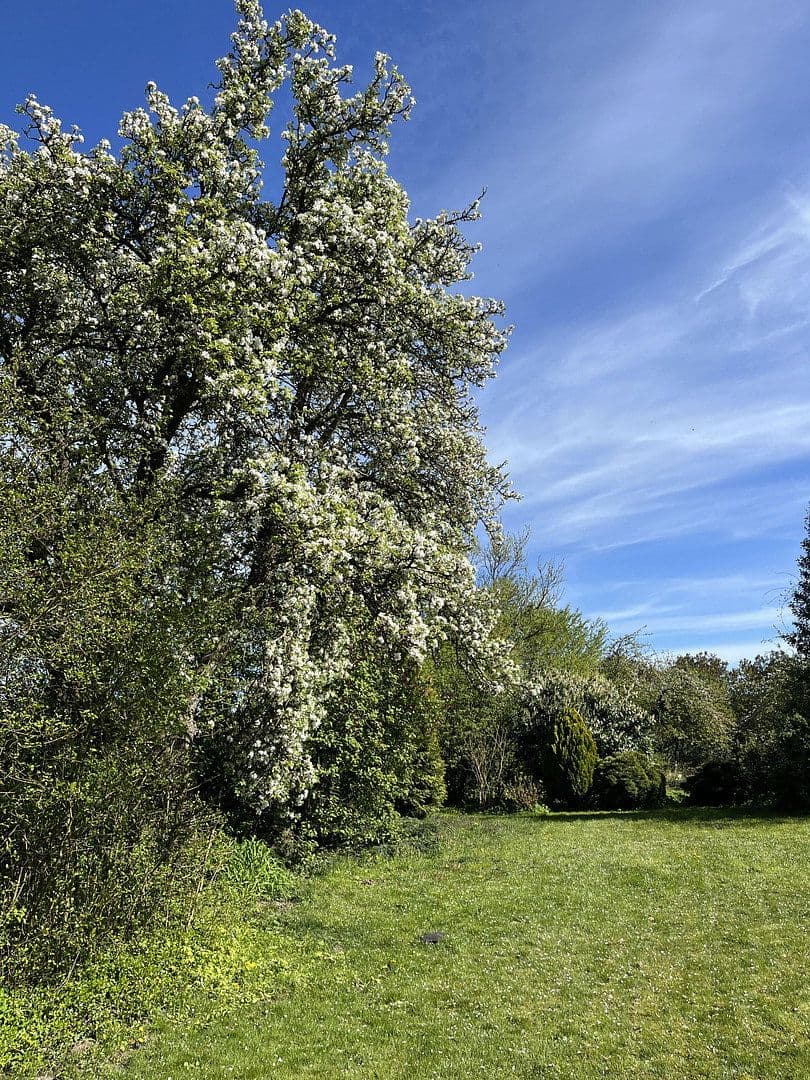 Prodej domu 374 m², pozemek 2.144 m², Wentorf (Amt Sandesneben), Šlesvicko-Holštýnsko Prodej domu 374 m², pozemek 2.144 m², Wentorf (Amt Sandesneben), Šlesvicko-Holštýnsko