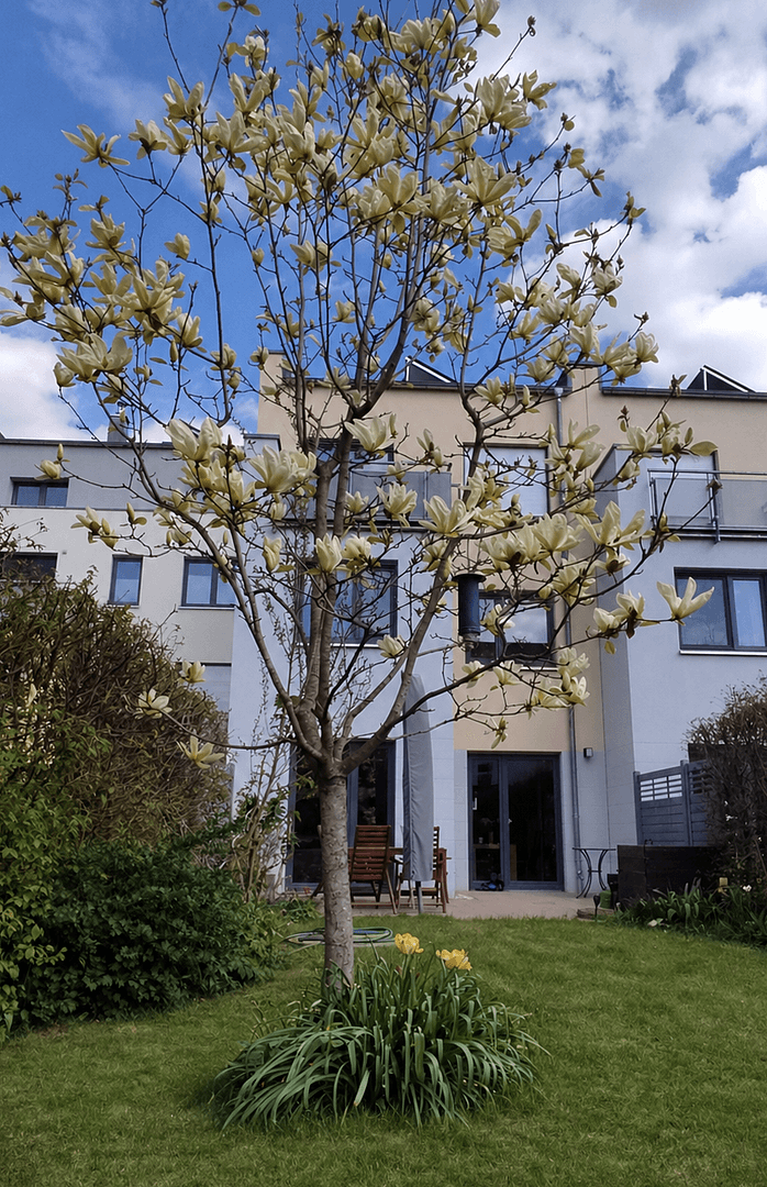 Prodej domu 138 m², pozemek 213 m², Leipzig, Sasko Prodej domu 138 m², pozemek 213 m², Leipzig, Sasko