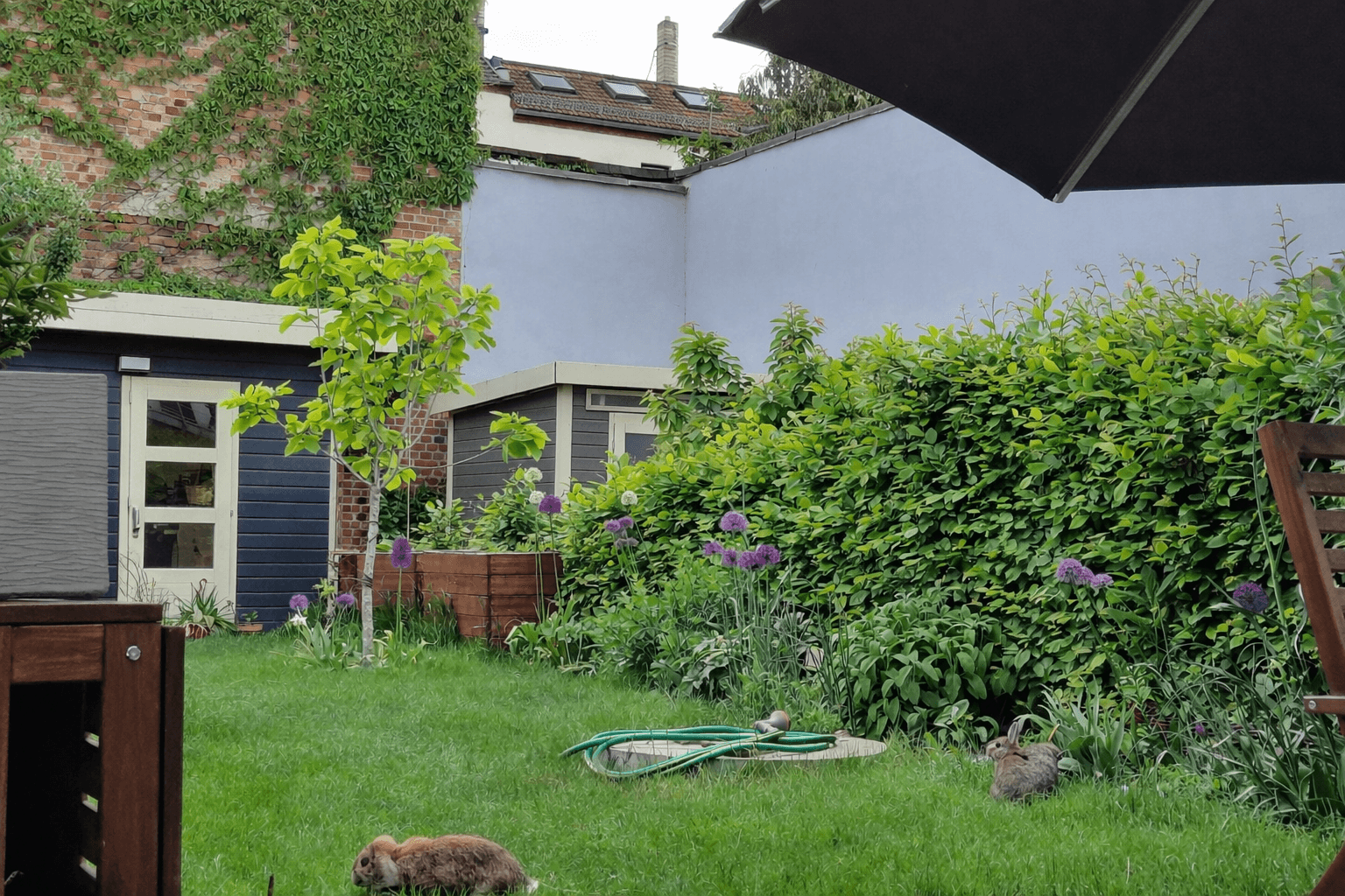 Prodej domu 138 m², pozemek 213 m², Leipzig, Sasko Prodej domu 138 m², pozemek 213 m², Leipzig, Sasko