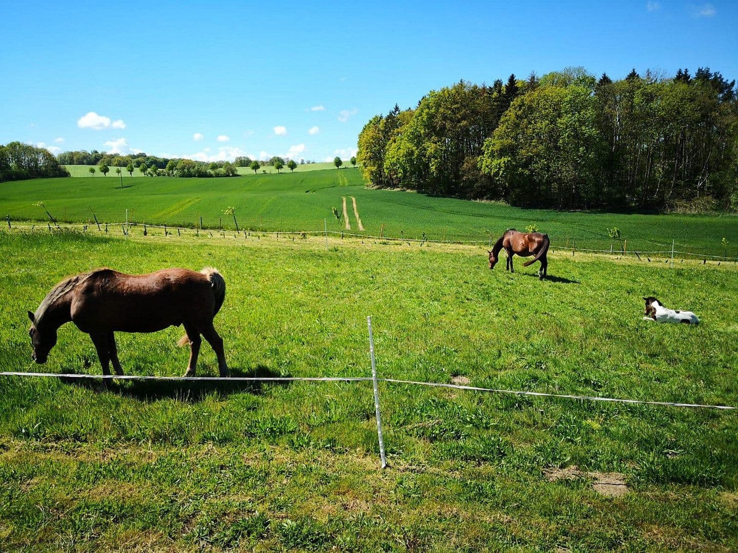 Prodej pozemku 2.000 m², Alter Kastanienweg 8, Satow, Mecklenburg-Vorpommern Prodej pozemku 2.000 m², Alter Kastanienweg 8, Satow, Mecklenburg-Vorpommern