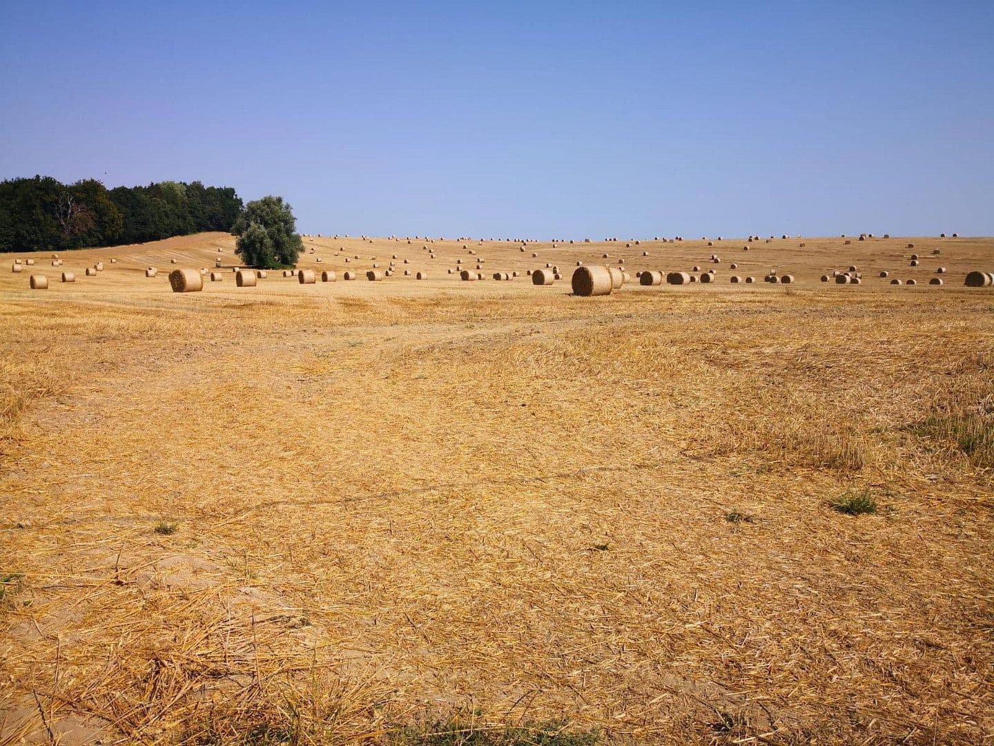 Prodej pozemku 2.000 m², Alter Kastanienweg 8, Satow, Mecklenburg-Vorpommern Prodej pozemku 2.000 m², Alter Kastanienweg 8, Satow, Mecklenburg-Vorpommern