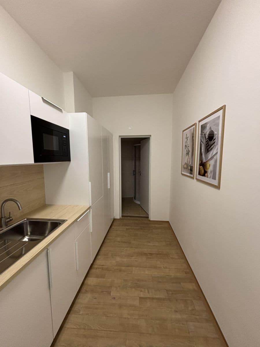 Pronájem bytu 2+1 65 m², Rumiště, Brno, Jihomoravský kraj Pronájem bytu 2+1 65 m², Rumiště, Brno, Jihomoravský kraj