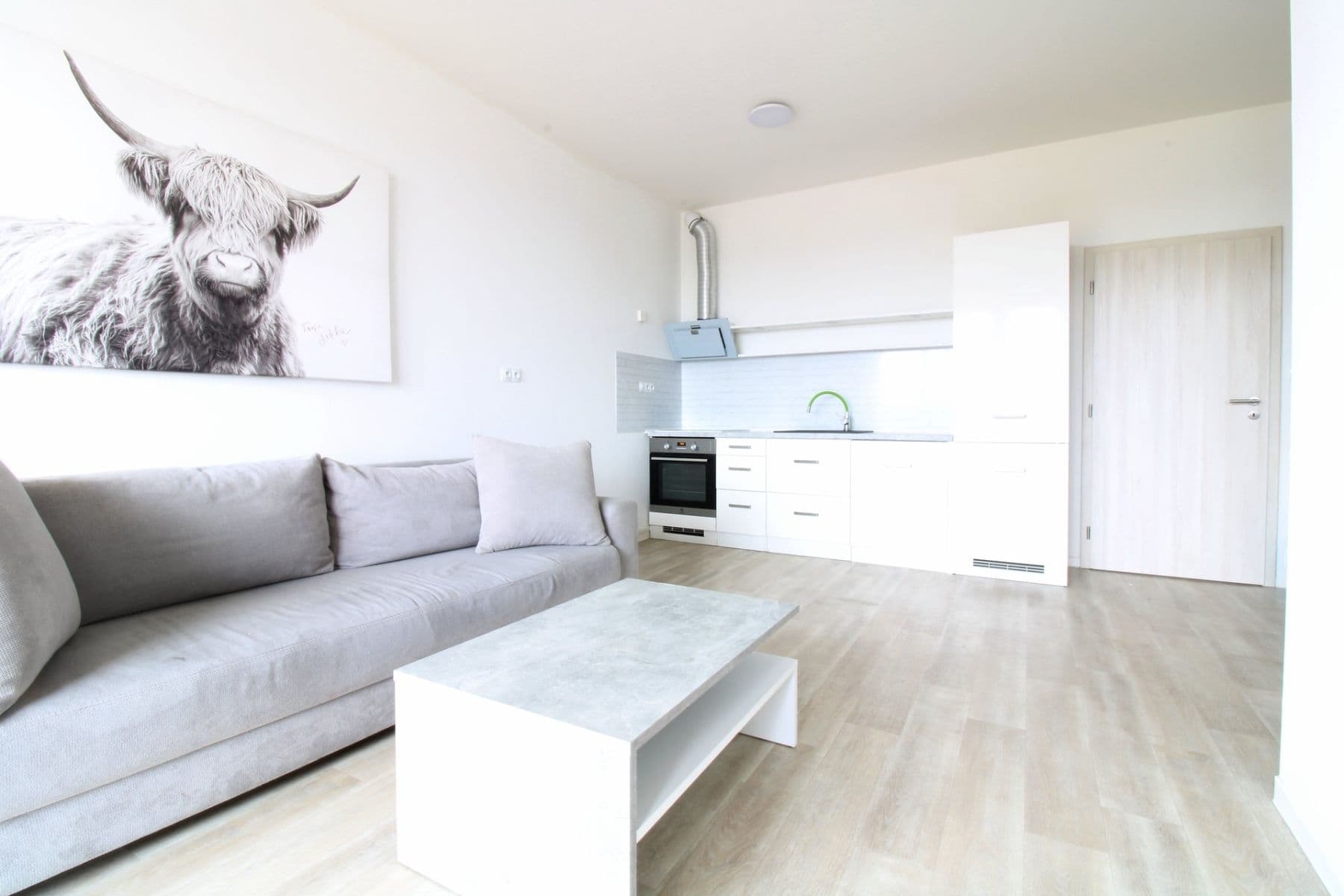 Pronájem bytu 2+kk 49 m², Plovární, Plzeň, Plzeňský kraj Pronájem bytu 2+kk 49 m², Plovární, Plzeň, Plzeňský kraj