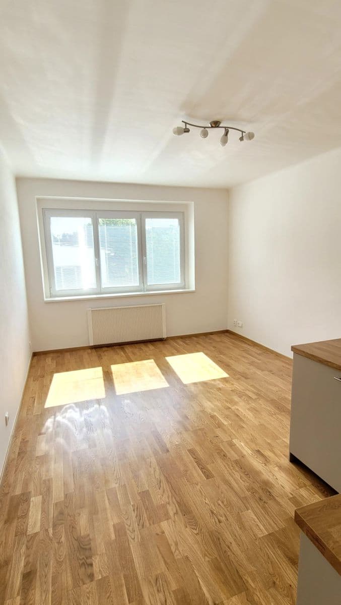 Pronájem bytu 1+kk 30 m², Na Pasece, Praha, Praha Pronájem bytu 1+kk 30 m², Na Pasece, Praha, Praha