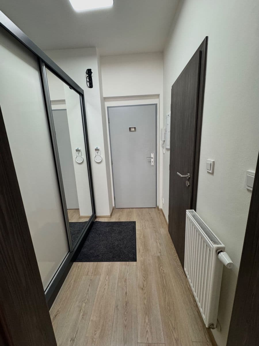 Pronájem bytu 1+kk 42 m², Hřbitovní, Plzeň, Plzeňský kraj Pronájem bytu 1+kk 42 m², Hřbitovní, Plzeň, Plzeňský kraj