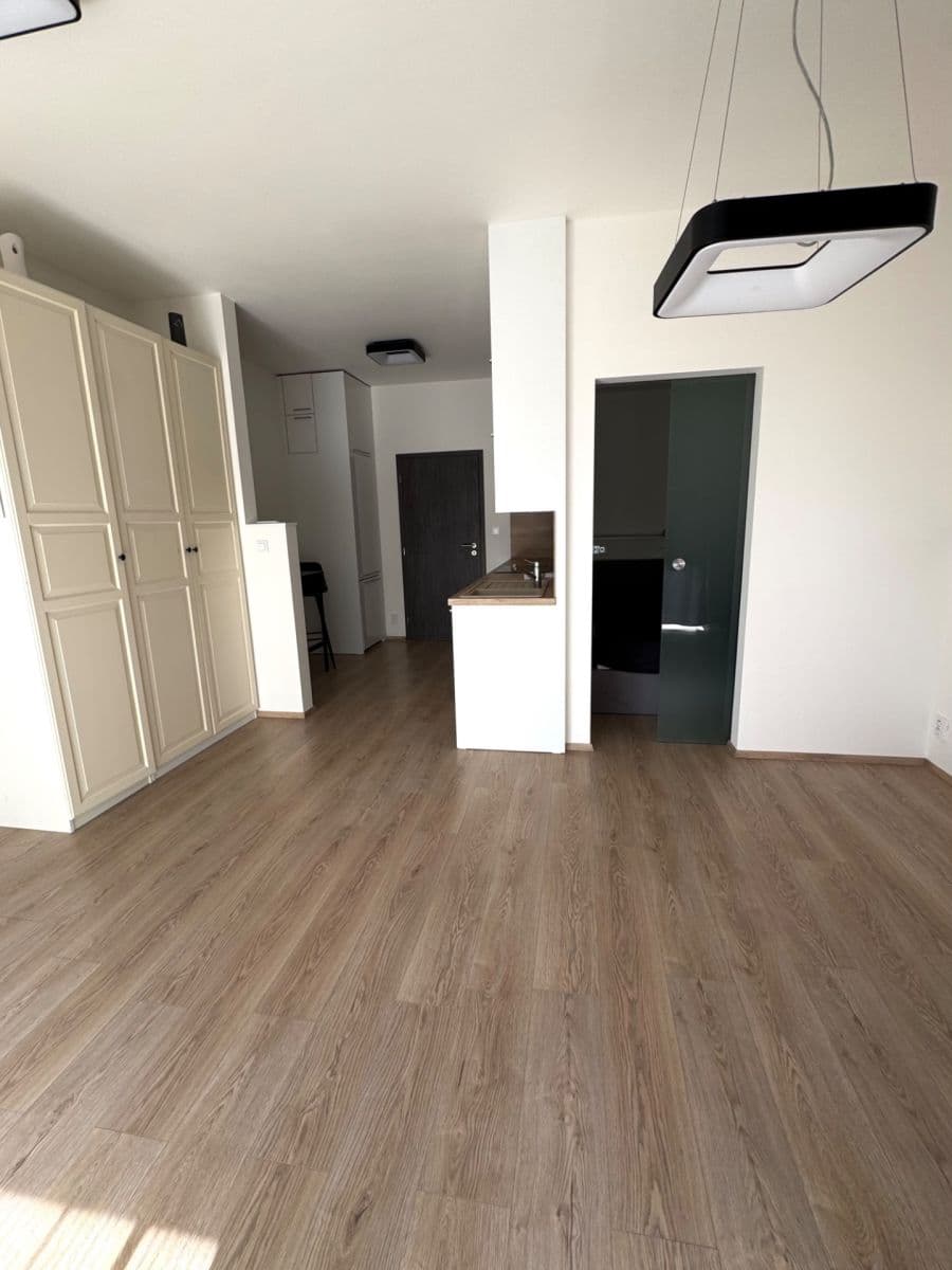 Pronájem bytu 1+kk 42 m², Hřbitovní, Plzeň, Plzeňský kraj Pronájem bytu 1+kk 42 m², Hřbitovní, Plzeň, Plzeňský kraj
