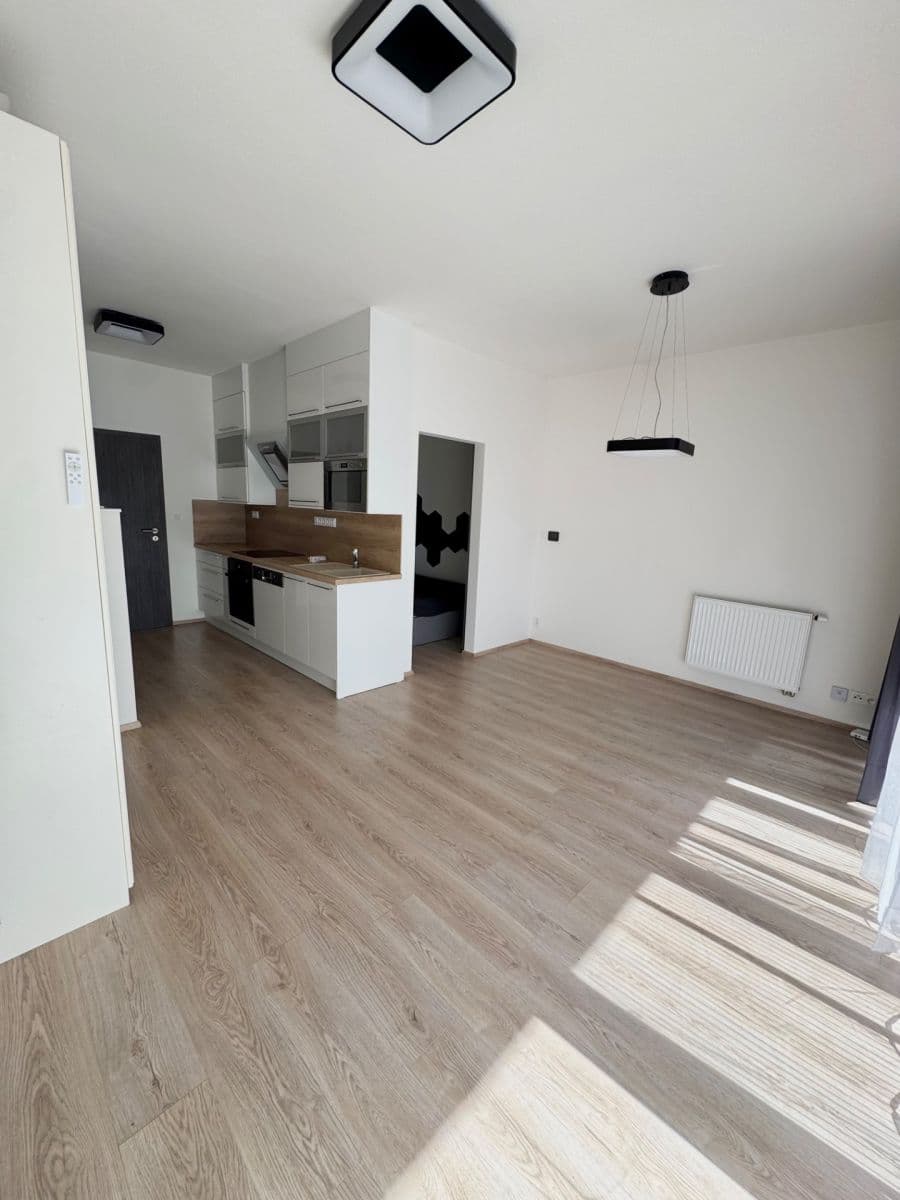 Pronájem bytu 1+kk 42 m², Hřbitovní, Plzeň, Plzeňský kraj Pronájem bytu 1+kk 42 m², Hřbitovní, Plzeň, Plzeňský kraj