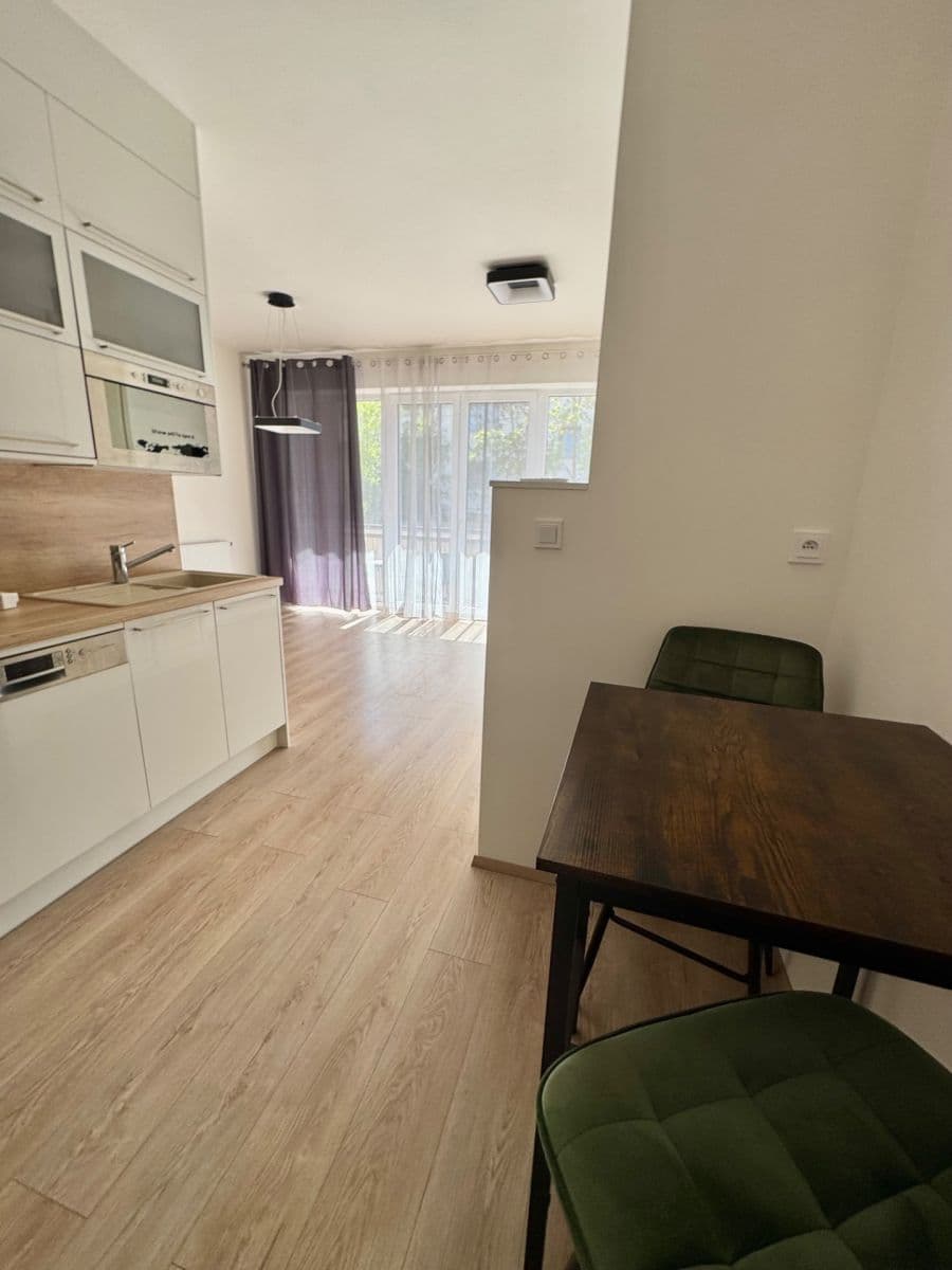 Pronájem bytu 1+kk 42 m², Hřbitovní, Plzeň, Plzeňský kraj Pronájem bytu 1+kk 42 m², Hřbitovní, Plzeň, Plzeňský kraj