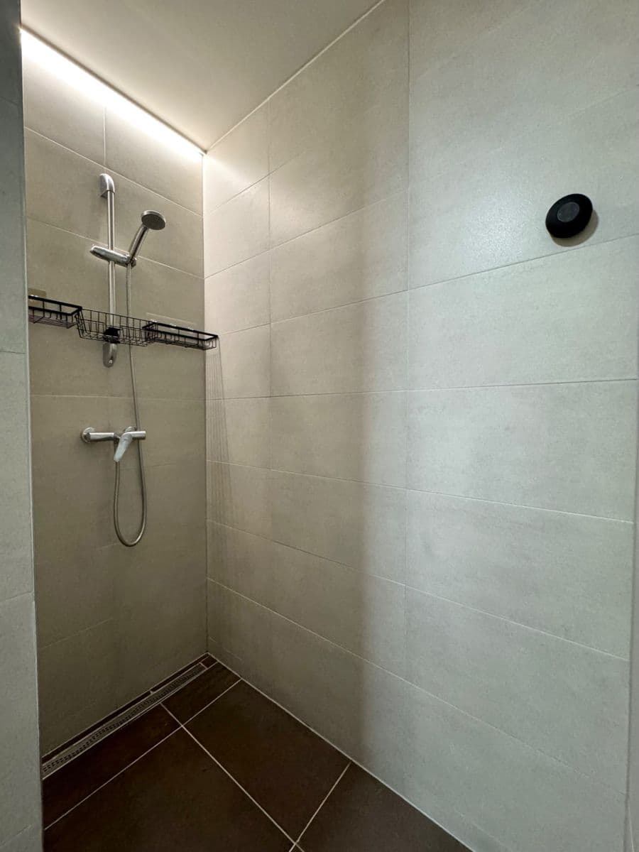 Pronájem bytu 1+kk 42 m², Hřbitovní, Plzeň, Plzeňský kraj Pronájem bytu 1+kk 42 m², Hřbitovní, Plzeň, Plzeňský kraj