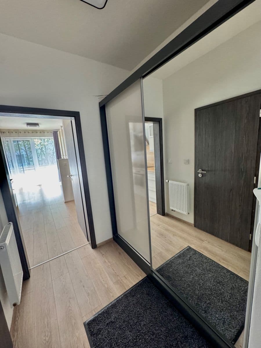 Pronájem bytu 1+kk 42 m², Hřbitovní, Plzeň, Plzeňský kraj Pronájem bytu 1+kk 42 m², Hřbitovní, Plzeň, Plzeňský kraj