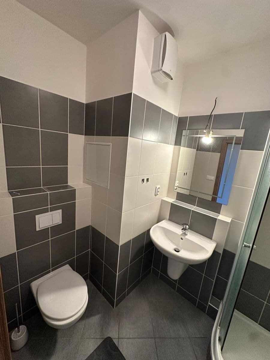 Pronájem bytu 1+kk 36 m², Davidovičova, Praha, Praha Pronájem bytu 1+kk 36 m², Davidovičova, Praha, Praha