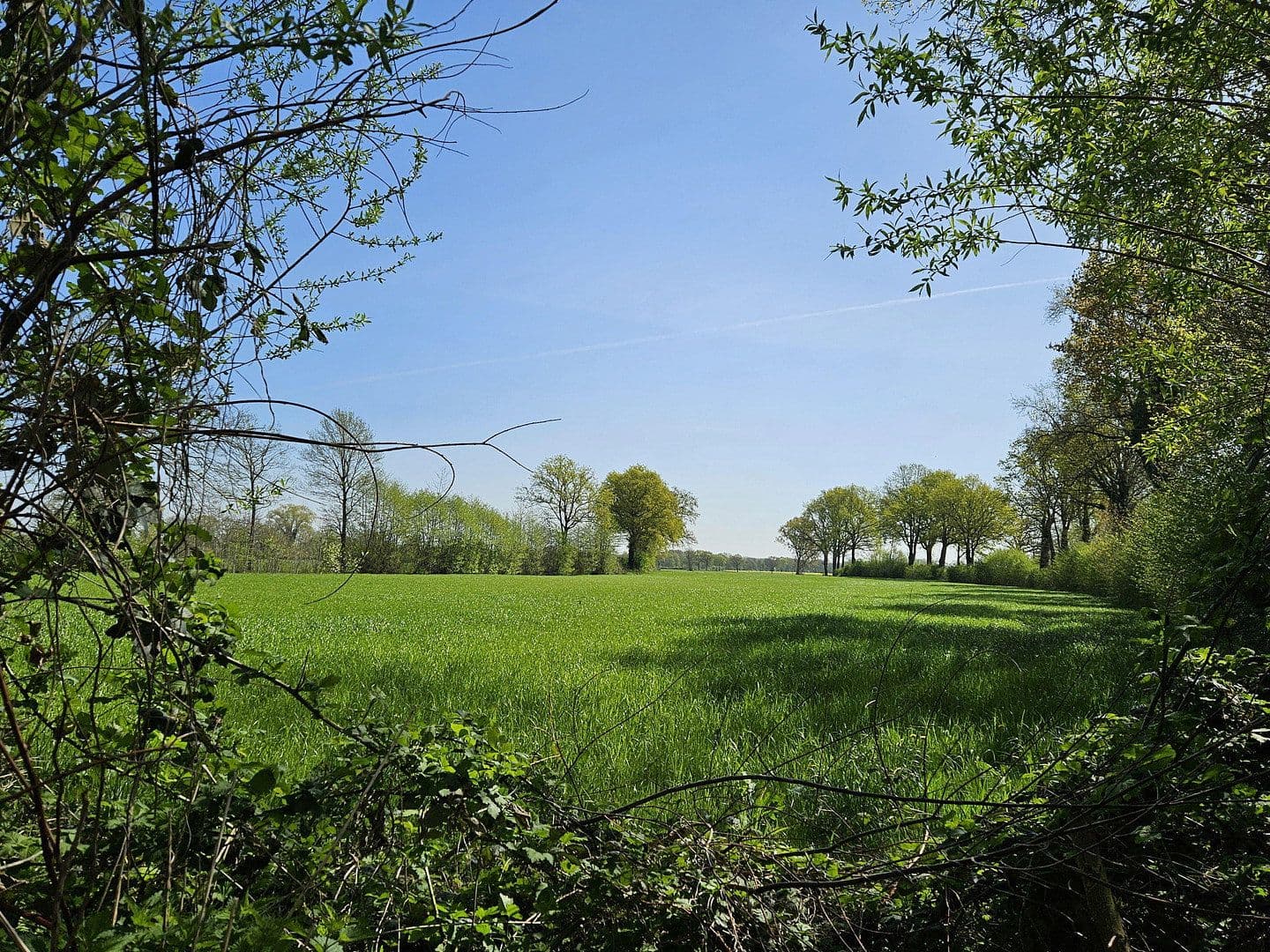 Prodej domu 260 m², pozemek 470 m², Ollerlohstraße 50a, Elmshorn, Šlesvicko-Holštýnsko Prodej domu 260 m², pozemek 470 m², Ollerlohstraße 50a, Elmshorn, Šlesvicko-Holštýnsko