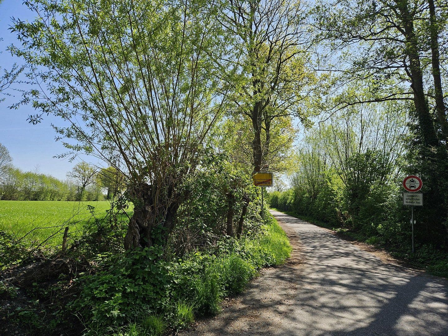 Prodej domu 260 m², pozemek 470 m², Ollerlohstraße 50a, Elmshorn, Šlesvicko-Holštýnsko Prodej domu 260 m², pozemek 470 m², Ollerlohstraße 50a, Elmshorn, Šlesvicko-Holštýnsko