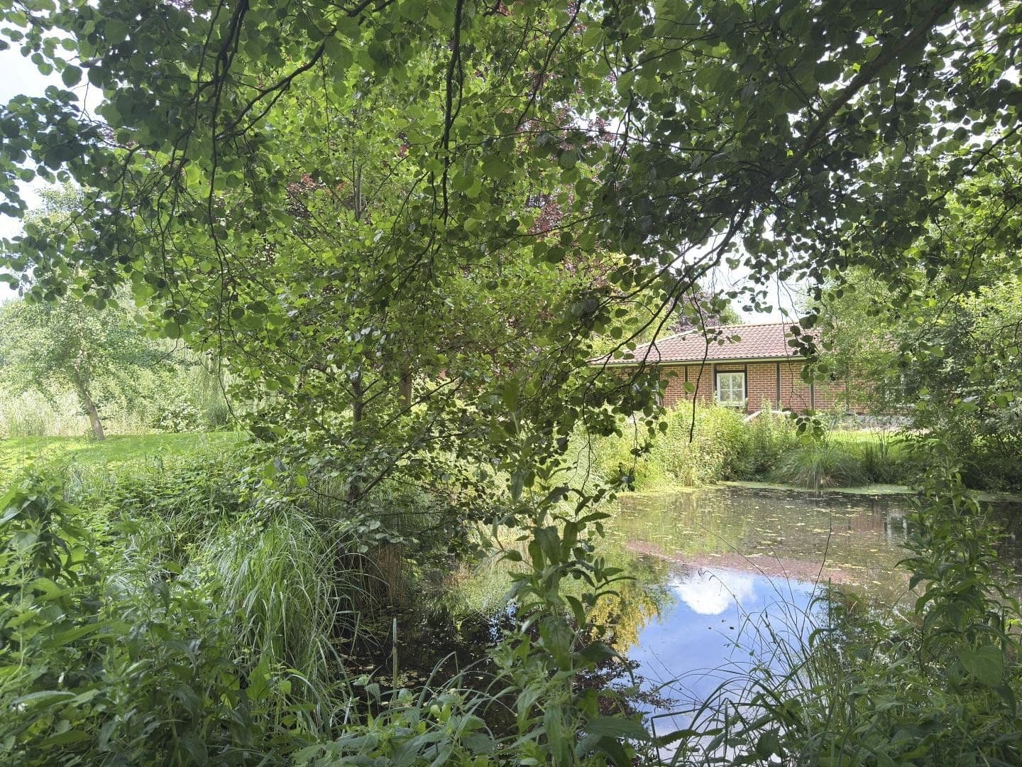 Prodej domu 255 m², pozemek 6.177 m², Gresse, Mecklenburg-Vorpommern Prodej domu 255 m², pozemek 6.177 m², Gresse, Mecklenburg-Vorpommern