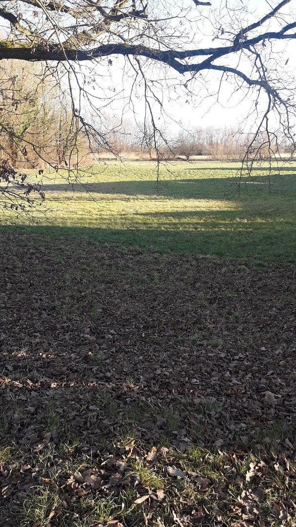 Prodej domu 142 m², pozemek 483 m², Ingolstadt, Bavorsko Prodej domu 142 m², pozemek 483 m², Ingolstadt, Bavorsko