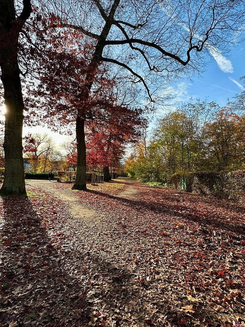 Prodej bytu 3+1 116 m², Buchenstraße 39, Düsseldorf, Severní Porýní-Vestfálsko Prodej bytu 3+1 116 m², Buchenstraße 39, Düsseldorf, Severní Porýní-Vestfálsko