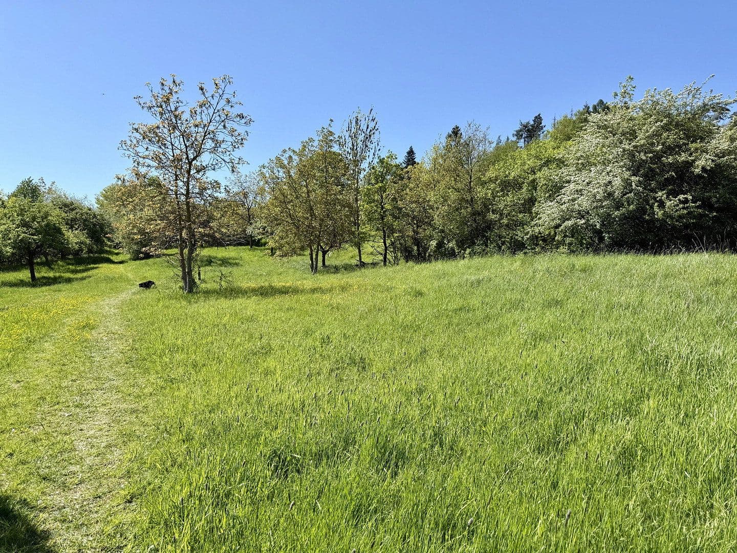 Prodej domu 330 m², pozemek 1.250 m², Birkenweg 22, Wettenberg, Hessen Prodej domu 330 m², pozemek 1.250 m², Birkenweg 22, Wettenberg, Hessen