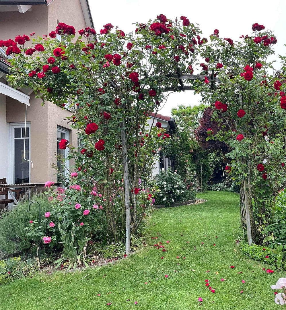 Prodej domu 139 m², pozemek 552 m², Reichertshofen, Bavorsko Prodej domu 139 m², pozemek 552 m², Reichertshofen, Bavorsko