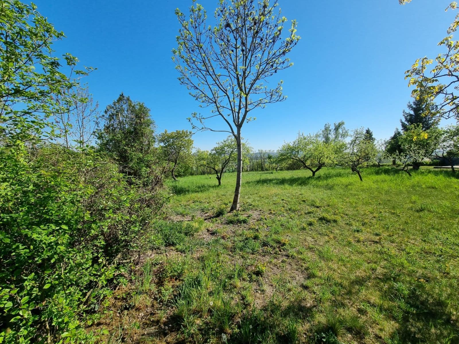 Prodej pozemku 998 m², Hoštka, Ústecký kraj Prodej pozemku 998 m², Hoštka, Ústecký kraj