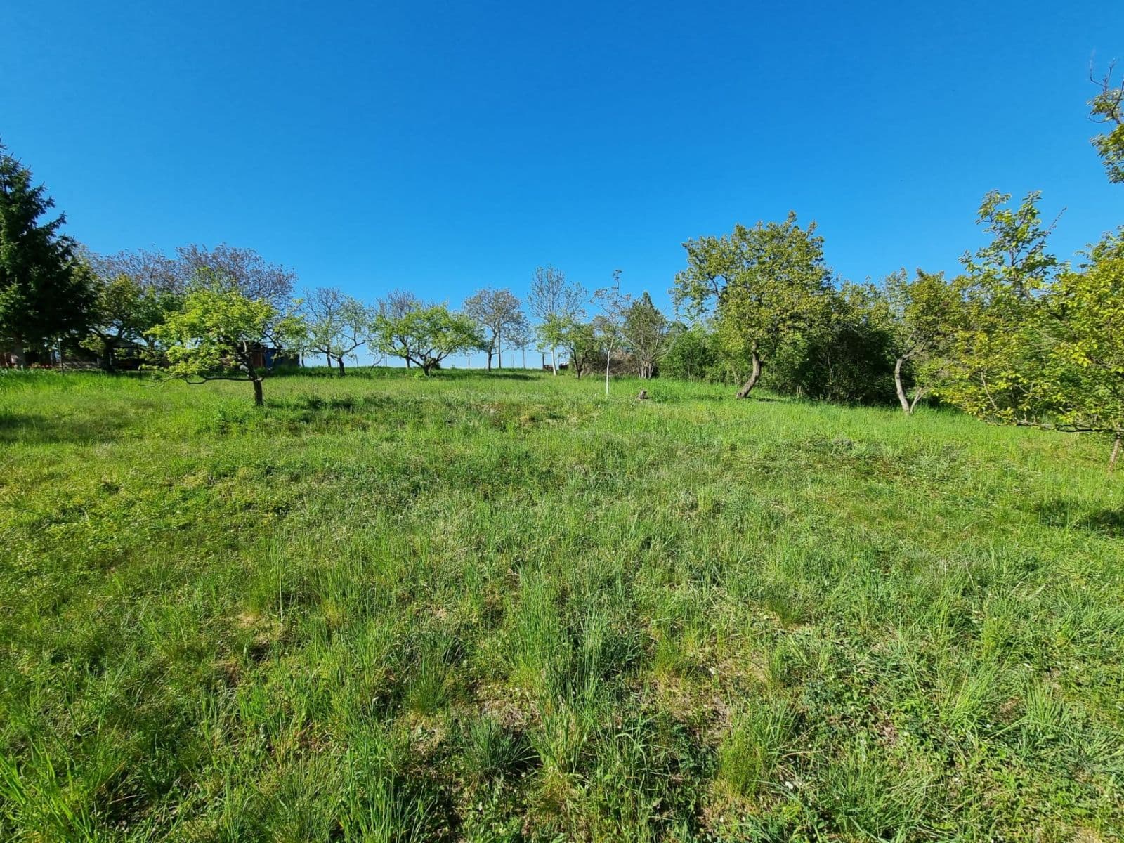 Prodej pozemku 998 m², Hoštka, Ústecký kraj Prodej pozemku 998 m², Hoštka, Ústecký kraj