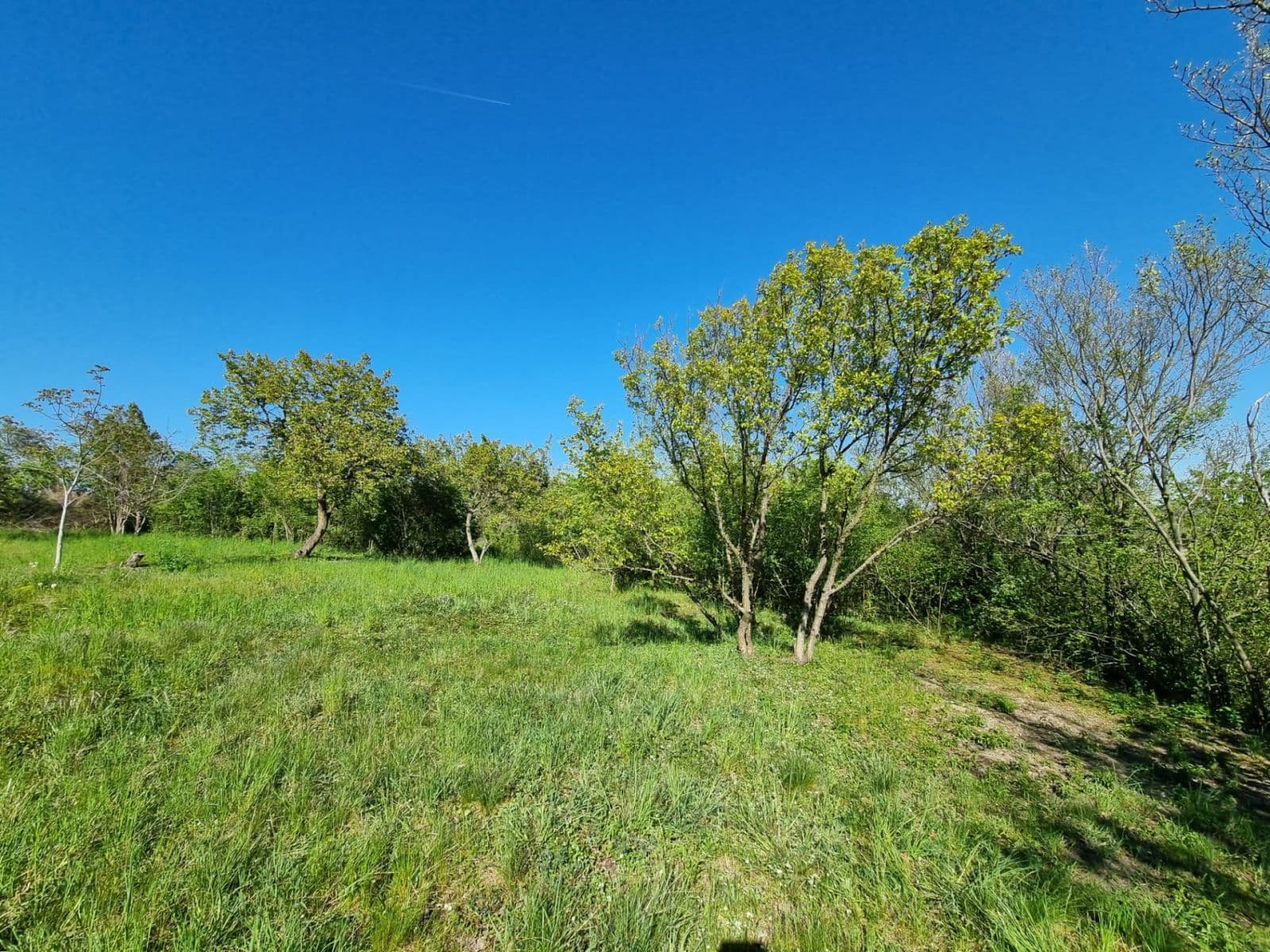 Prodej pozemku 998 m², Hoštka, Ústecký kraj Prodej pozemku 998 m², Hoštka, Ústecký kraj