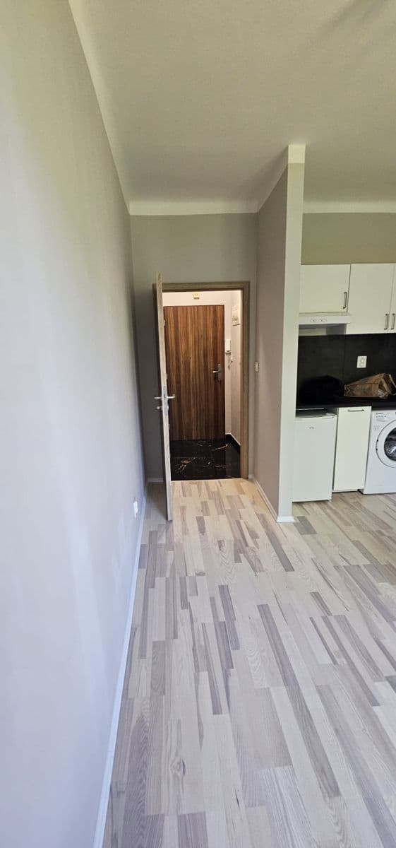 Pronájem bytu 1+kk 25 m², Ke Strašnické, Praha, Praha Pronájem bytu 1+kk 25 m², Ke Strašnické, Praha, Praha