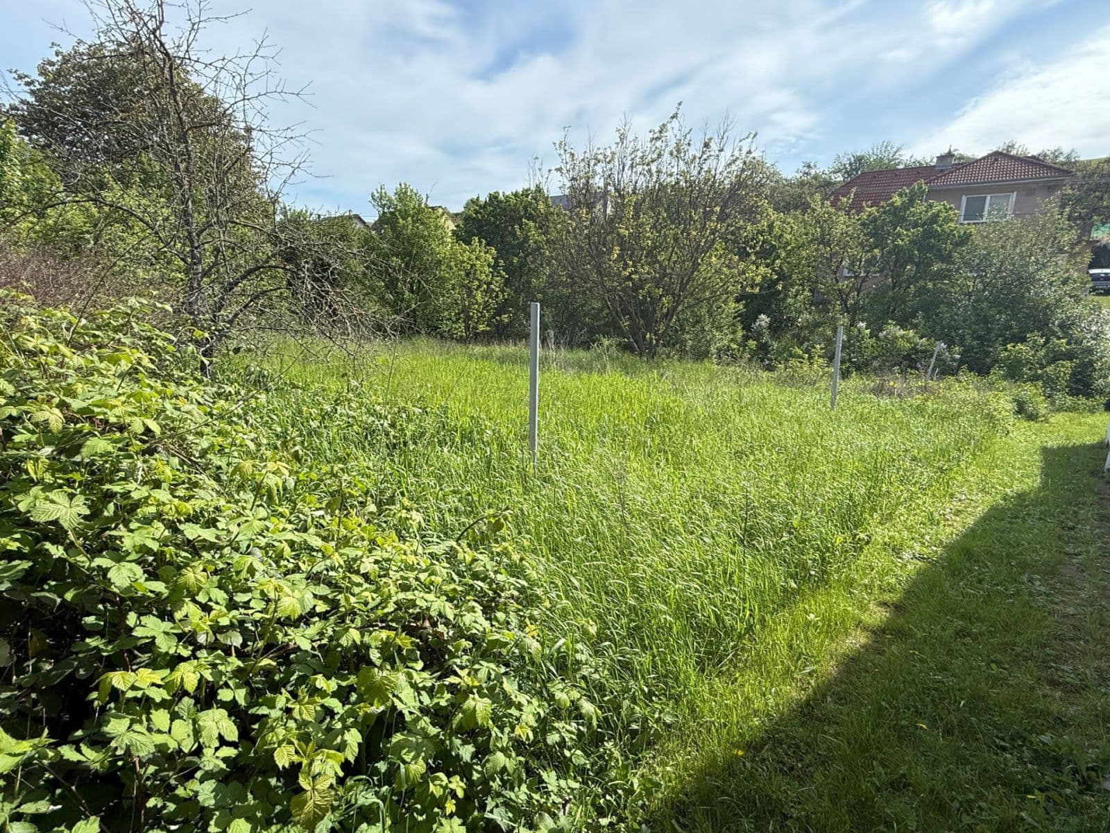 Pronájem pozemku 420 m², Sobůlky, Jihomoravský kraj Pronájem pozemku 420 m², Sobůlky, Jihomoravský kraj