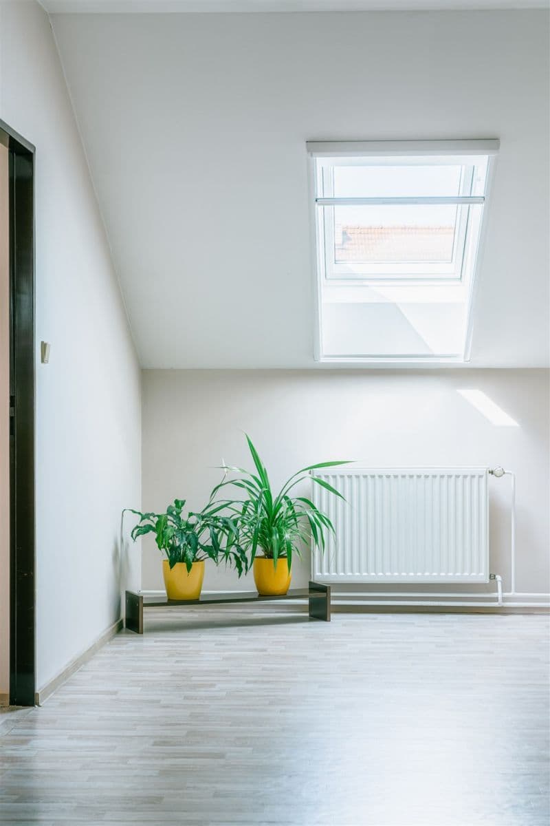 Prodej domu 260 m², pozemek 273 m², Bučovická, Slavkov u Brna, Jihomoravský kraj Prodej domu 260 m², pozemek 273 m², Bučovická, Slavkov u Brna, Jihomoravský kraj