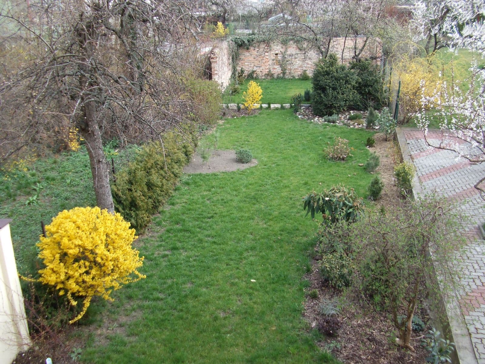 Pronájem bytu 3+kk 60 m², Pechova, Brno, Jihomoravský kraj Pronájem bytu 3+kk 60 m², Pechova, Brno, Jihomoravský kraj