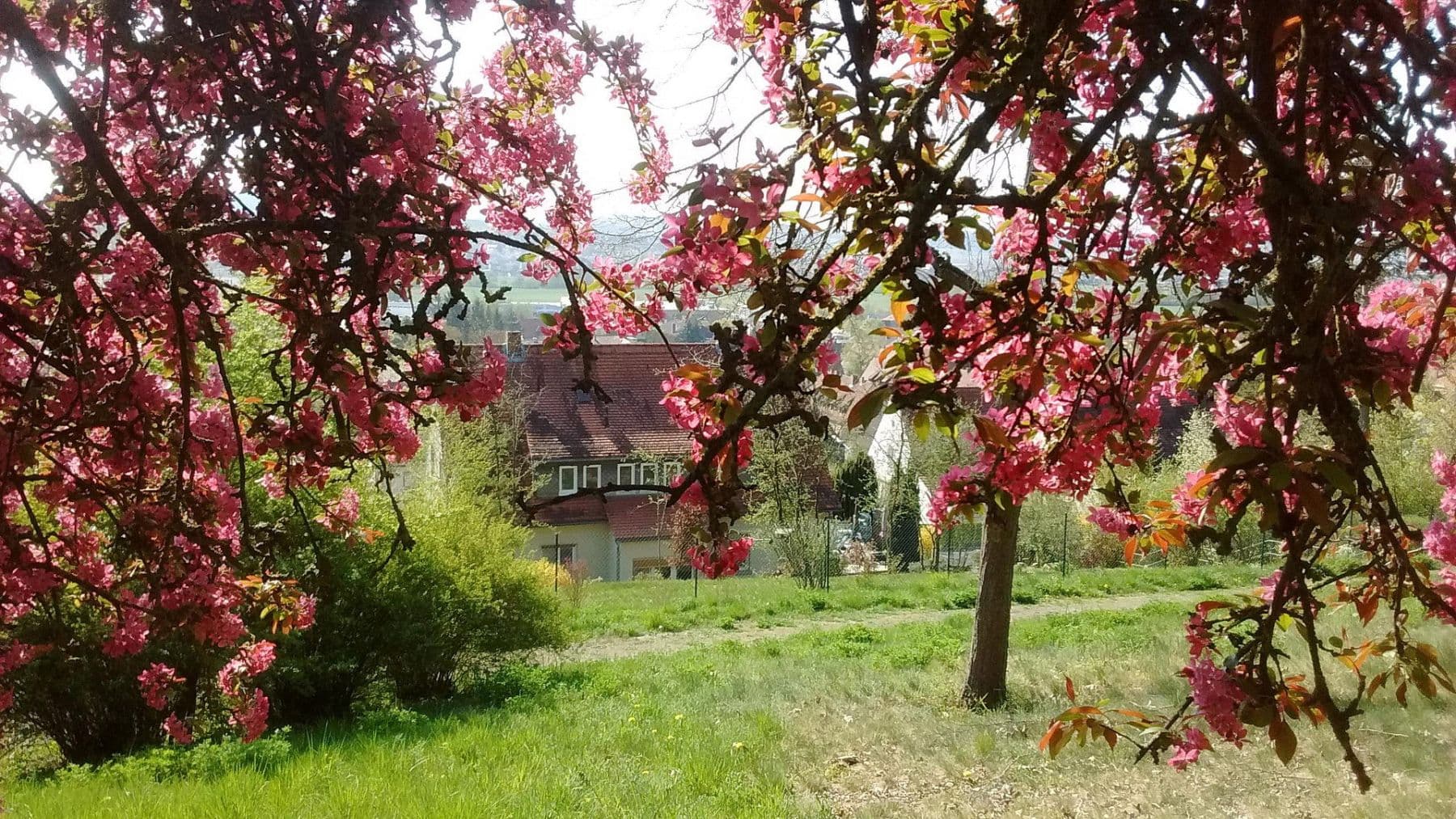 Prodej domu 223 m², pozemek 1.074 m², Bad Neustadt an der Saale, Bavorsko Prodej domu 223 m², pozemek 1.074 m², Bad Neustadt an der Saale, Bavorsko