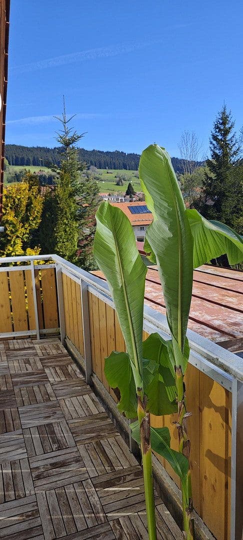 Prodej domu 135 m², pozemek 627 m², Weitnau, Bavorsko Prodej domu 135 m², pozemek 627 m², Weitnau, Bavorsko