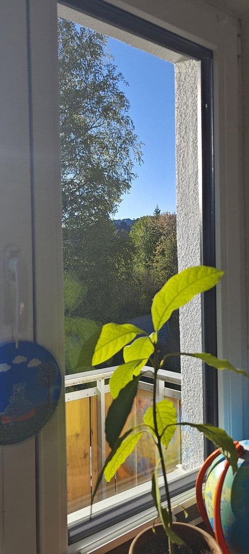 Prodej domu 135 m², pozemek 627 m², Weitnau, Bavorsko Prodej domu 135 m², pozemek 627 m², Weitnau, Bavorsko