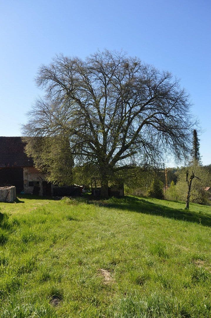 Prodej domu 114 m², pozemek 2.874 m², In den Gärten 2, Großerlach, Bádensko-Württembersko Prodej domu 114 m², pozemek 2.874 m², In den Gärten 2, Großerlach, Bádensko-Württembersko