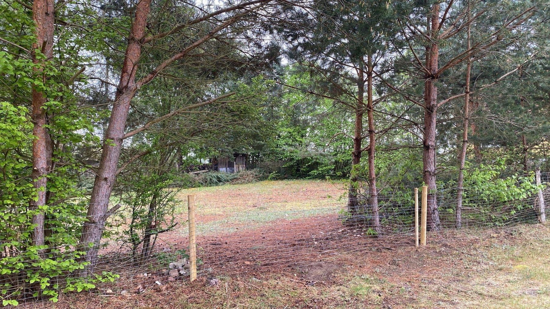 Prodej pozemku 1.254 m², Löwenberger Land, Braniborsko Prodej pozemku 1.254 m², Löwenberger Land, Braniborsko