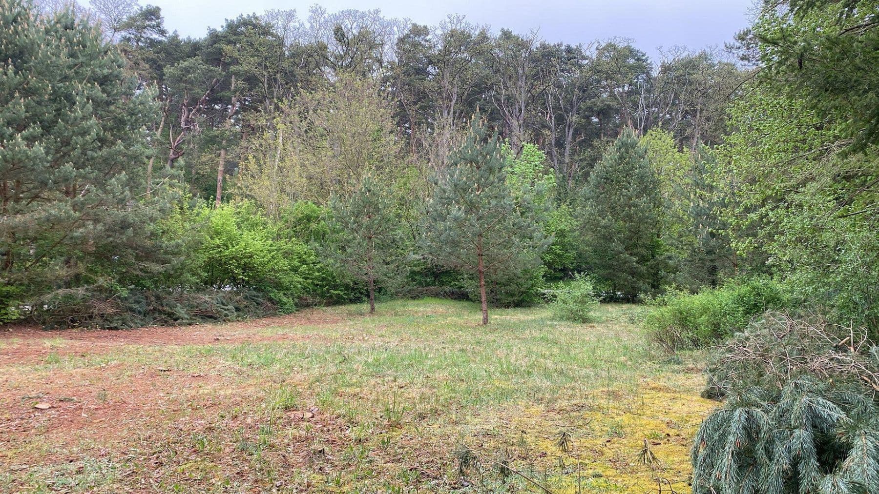 Prodej pozemku 1.254 m², Löwenberger Land, Braniborsko Prodej pozemku 1.254 m², Löwenberger Land, Braniborsko