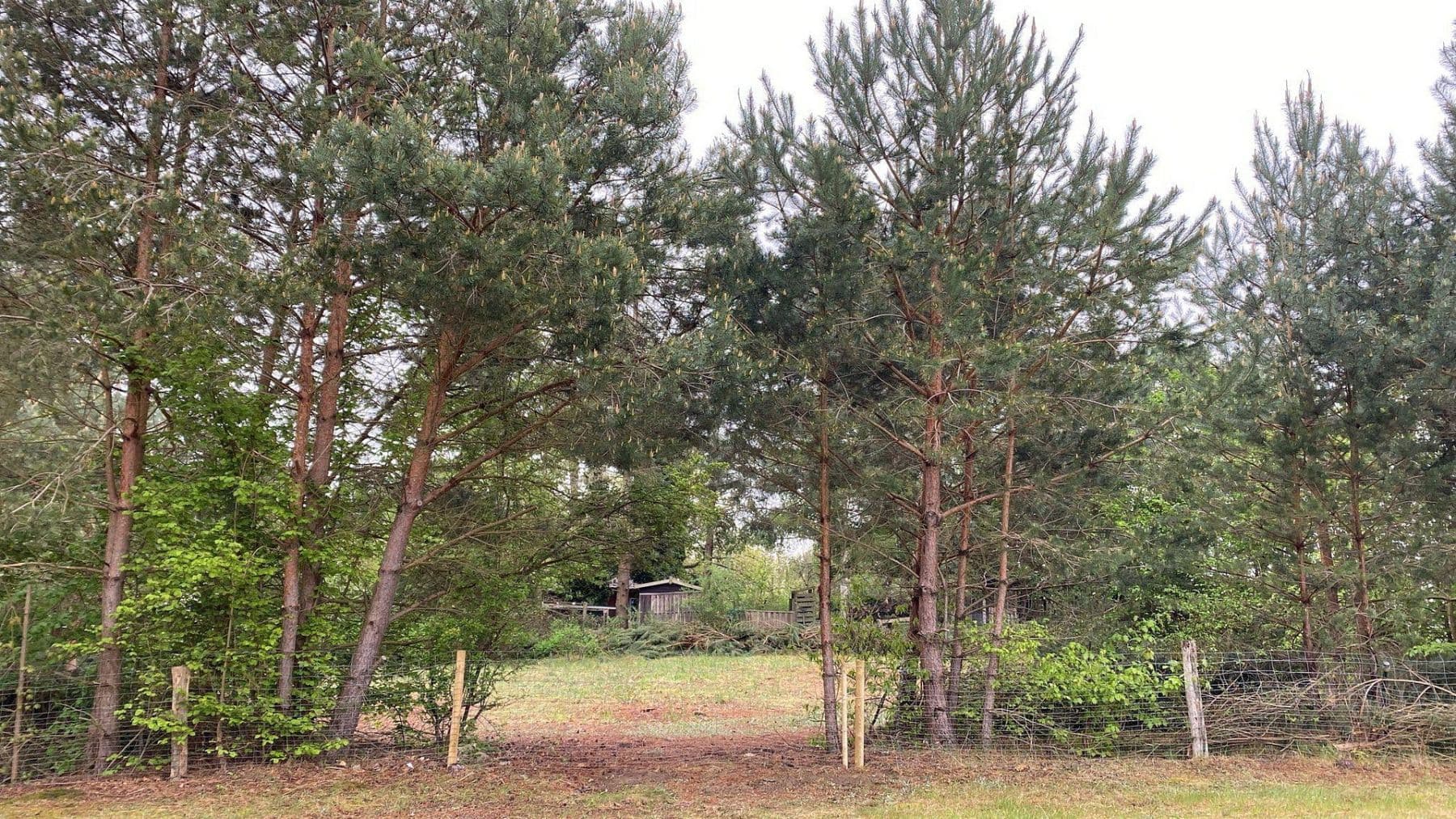 Prodej pozemku 1.254 m², Löwenberger Land, Braniborsko Prodej pozemku 1.254 m², Löwenberger Land, Braniborsko